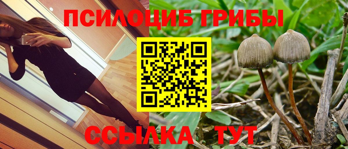 Галлюциногенные грибы MAGIC MUSHROOMS Краснодар