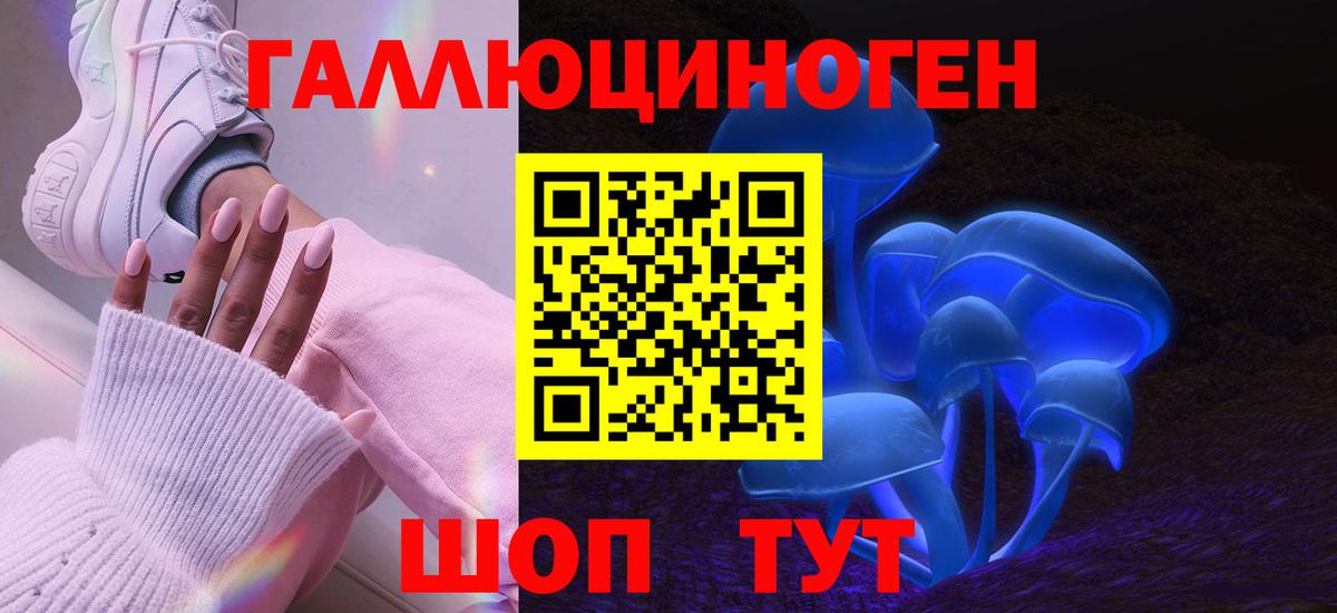 Краснодар  Псилоцибиновые грибы GOLDEN TEACHER  Вход с VPN 